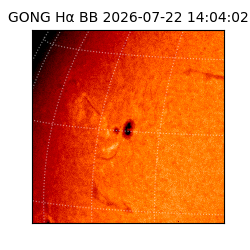 gong - 2026-07-22T14:04:02