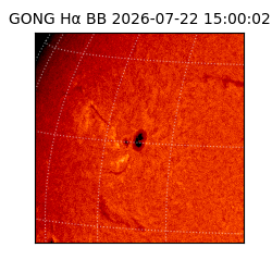 gong - 2026-07-22T15:00:02