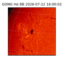 gong - 2026-07-22T16:00:02
