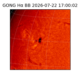 gong - 2026-07-22T17:00:02