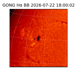 gong - 2026-07-22T18:00:02