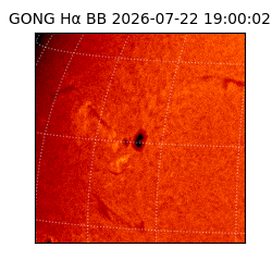 gong - 2026-07-22T19:00:02