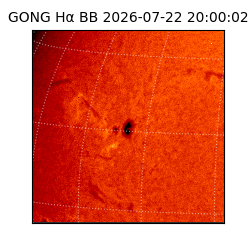 gong - 2026-07-22T20:00:02