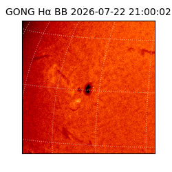 gong - 2026-07-22T21:00:02