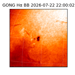 gong - 2026-07-22T22:00:02