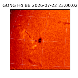 gong - 2026-07-22T23:00:02