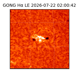 gong - 2026-07-22T02:00:42