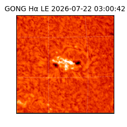 gong - 2026-07-22T03:00:42