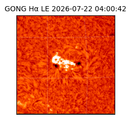 gong - 2026-07-22T04:00:42