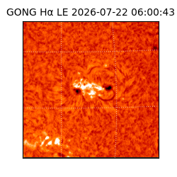 gong - 2026-07-22T06:00:43