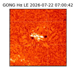 gong - 2026-07-22T07:00:42