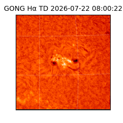 gong - 2026-07-22T08:00:22