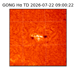 gong - 2026-07-22T09:00:22