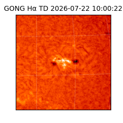 gong - 2026-07-22T10:00:22