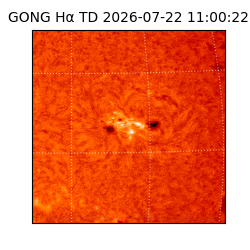 gong - 2026-07-22T11:00:22