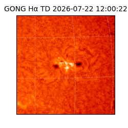 gong - 2026-07-22T12:00:22