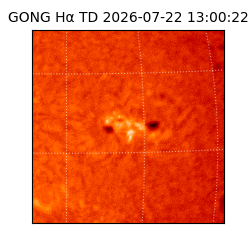 gong - 2026-07-22T13:00:22