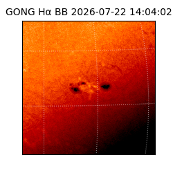 gong - 2026-07-22T14:04:02