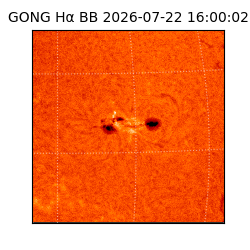 gong - 2026-07-22T16:00:02