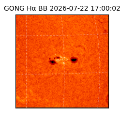 gong - 2026-07-22T17:00:02