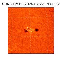 gong - 2026-07-22T19:00:02