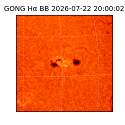 gong - 2026-07-22T20:00:02