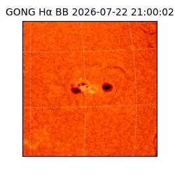 gong - 2026-07-22T21:00:02