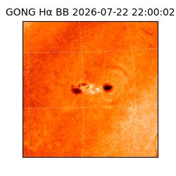 gong - 2026-07-22T22:00:02