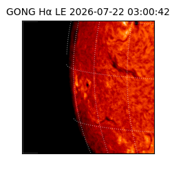 gong - 2026-07-22T03:00:42