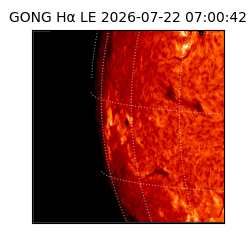 gong - 2026-07-22T07:00:42