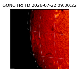 gong - 2026-07-22T09:00:22