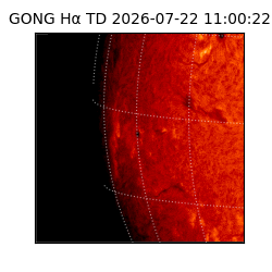 gong - 2026-07-22T11:00:22