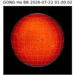 gong - 2026-07-22T01:00:02