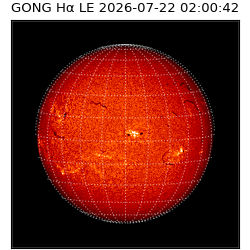gong - 2026-07-22T02:00:42