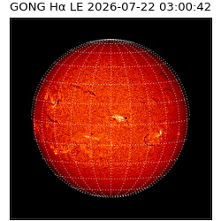 gong - 2026-07-22T03:00:42