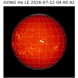 gong - 2026-07-22T04:00:42
