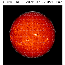 gong - 2026-07-22T05:00:42