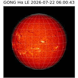 gong - 2026-07-22T06:00:43
