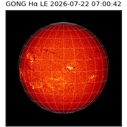gong - 2026-07-22T07:00:42