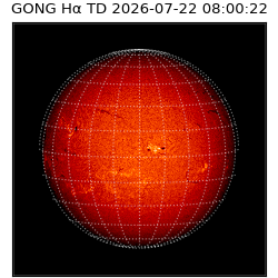 gong - 2026-07-22T08:00:22