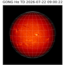 gong - 2026-07-22T09:00:22