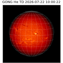 gong - 2026-07-22T10:00:22