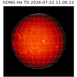 gong - 2026-07-22T11:00:22