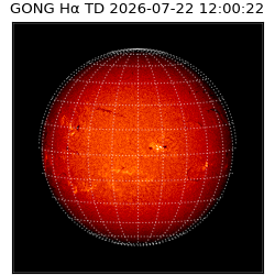 gong - 2026-07-22T12:00:22