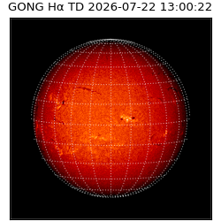 gong - 2026-07-22T13:00:22