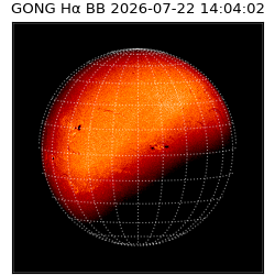 gong - 2026-07-22T14:04:02