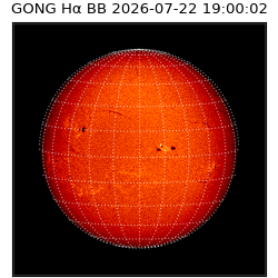 gong - 2026-07-22T19:00:02