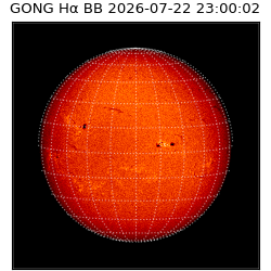 gong - 2026-07-22T23:00:02