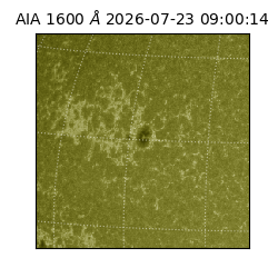 saia - 2026-07-23T09:00:14.123000