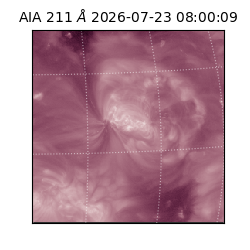 saia - 2026-07-23T08:00:09.623000